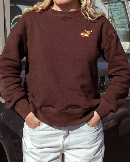Brown Sweatshirt
