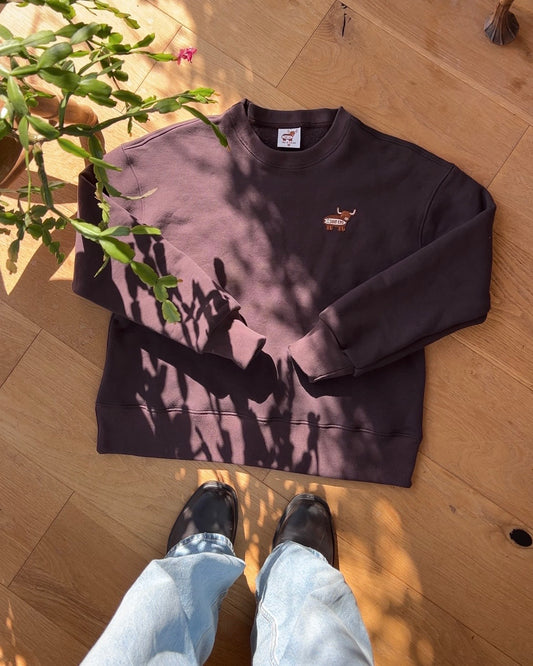 Brown Sweatshirt